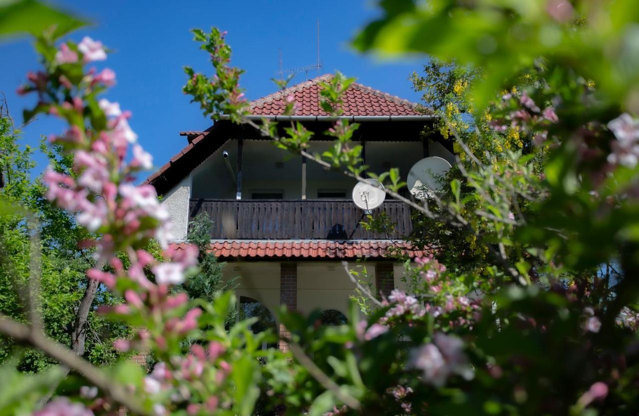 Alabastrom Panzio Es Etterem Bed and Breakfast Bogács Buitenkant foto