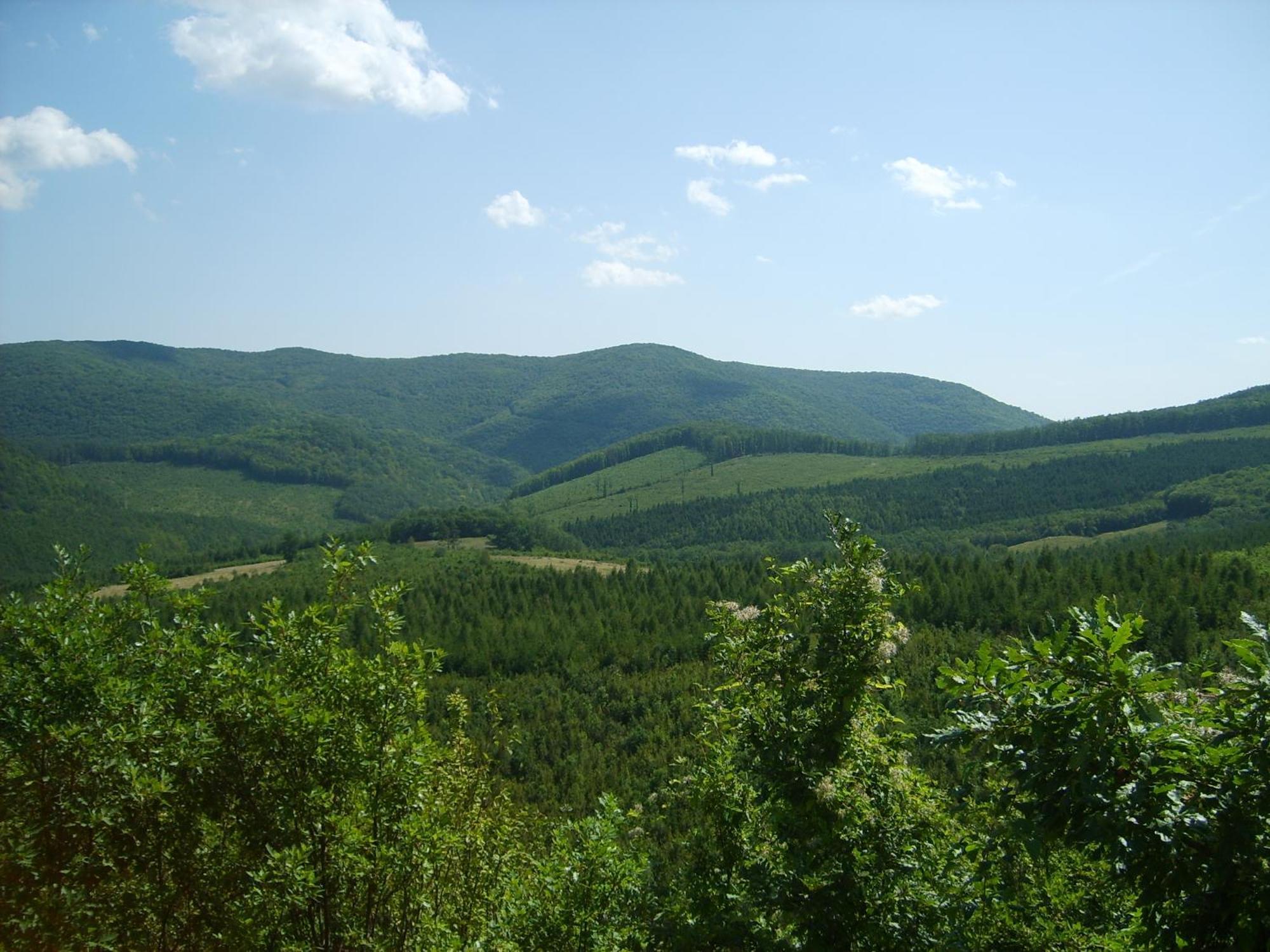 Alabastrom Panzio Es Etterem Bed and Breakfast Bogács Buitenkant foto