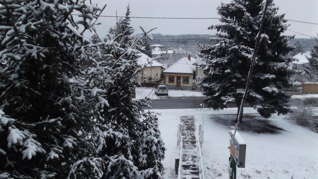 Alabastrom Panzio Es Etterem Bed and Breakfast Bogács Buitenkant foto